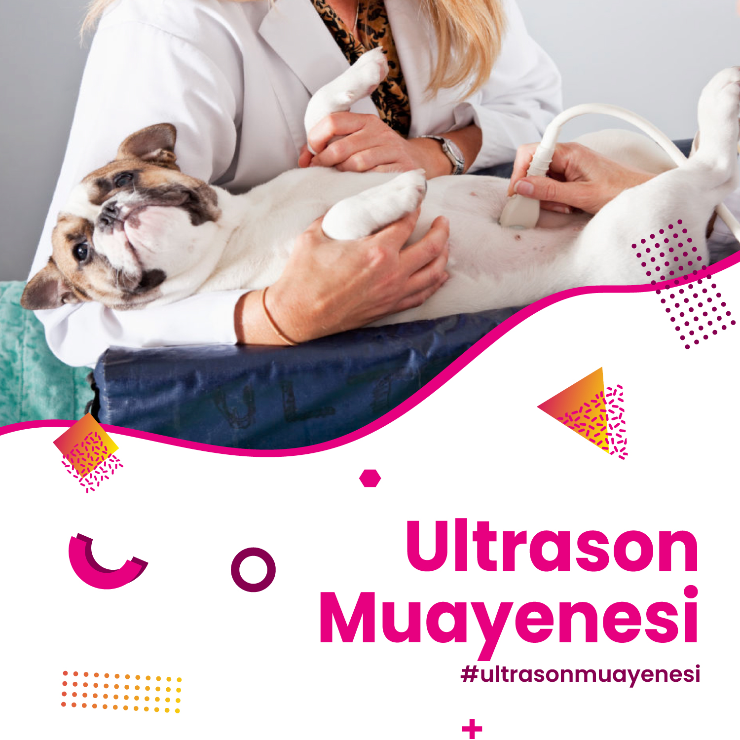 Ultrason Muayenesi  Hizmeti